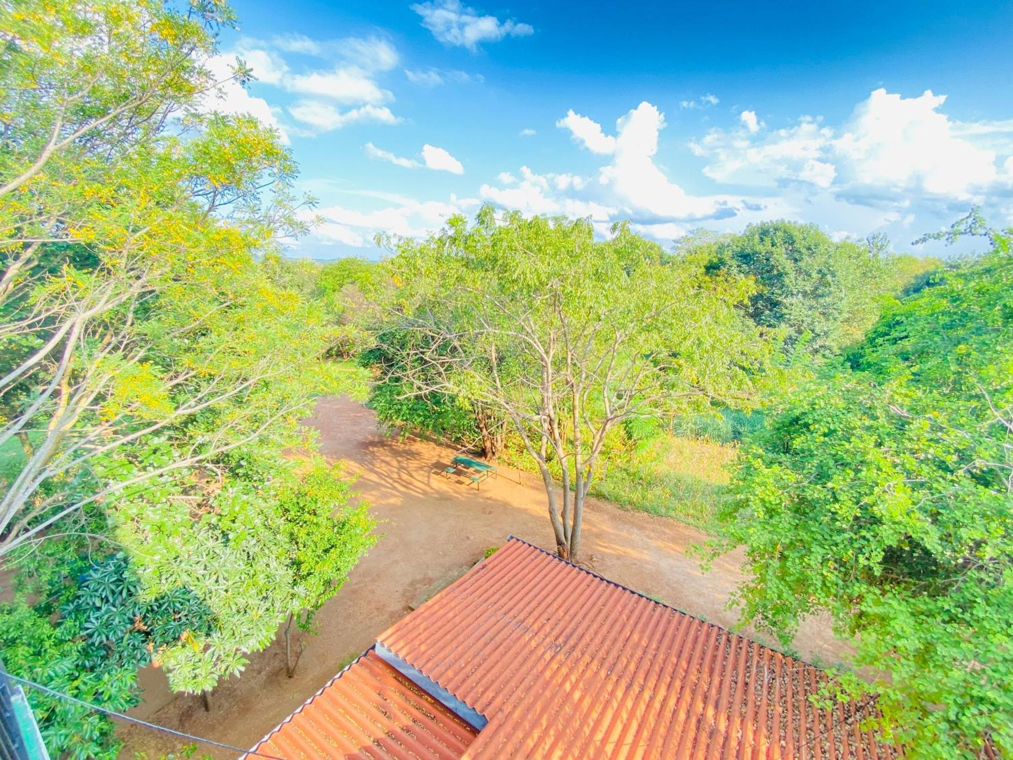 Ima Villa Sigiriya Buitenkant foto